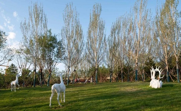 中瑞城 | 承芯绿色科技住宅 打开健康生活的金钥匙